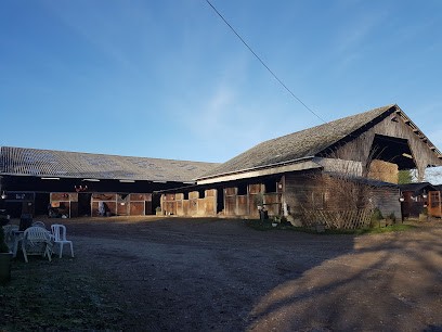 EARL Haras Du Cedre, Centre Equestres à Saint-Vaast-Dieppedalle
