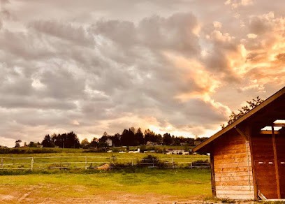 Ecurie Sauvagnat, Centre Equestres à Vaugneray