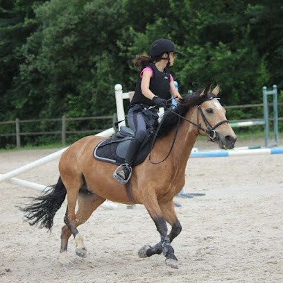Horse Riding Ecole Aurore Férignac, Centre Equestres à Sainte-Geneviève-des-Bois