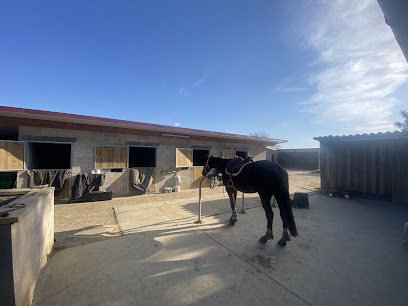 Ecurie Des Crouzettes Pension Pour Chevaux à Génébrières