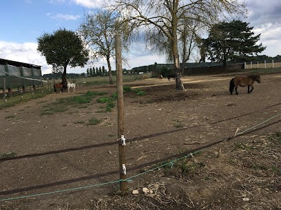 Ferme Equestre Du Petit Villers, Centre Equestres à Ormoy-Villers