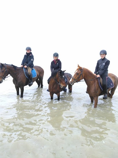 Clossais Jonathan, Pension pour Chevaux à Laignelet