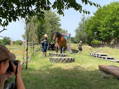 Painted Jewel Ranch, Centre Equestres à Merkwiller-Pechelbronn