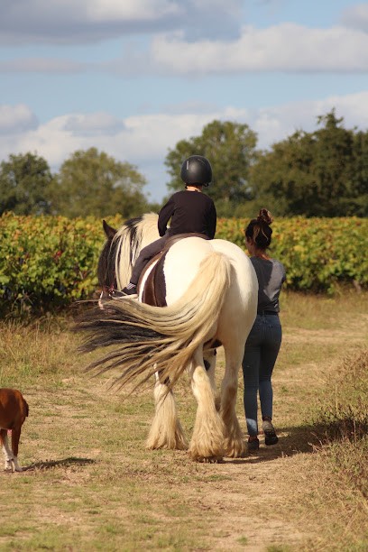 Les Fanons du Lien, Pension pour Chevaux aux Lucs-sur-Boulogne