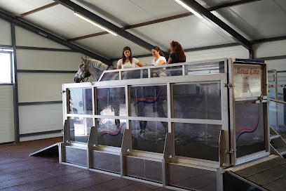 Ecurie Mp Jump, Centre Equestres à Parigné-l'Évêque