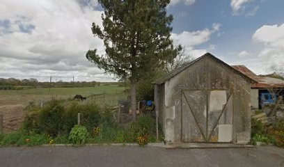 RCA RANCH élevage et commerce chevaux et poneys, Centre Equestres au Pin