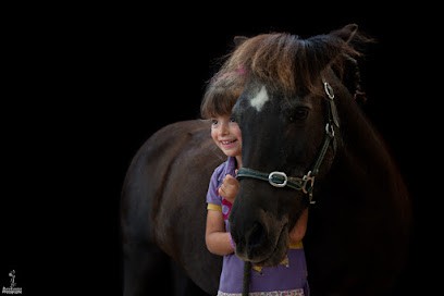 Les Ecuries De Malou, Centre Equestres à Montarnaud