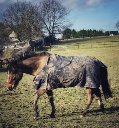 Ecuries Vitelle, Centre Equestres à Louvres