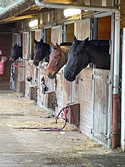 CENTRE EQUESTRE LA MONTAGNE, Centre Equestres à Cormeilles-en-Parisis