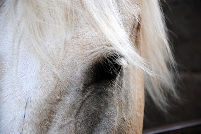 Equestrian Center Le Sonnac, Centre Equestres à La Cresse
