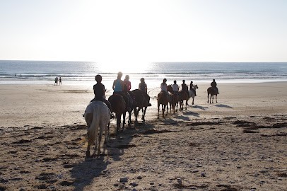 Centre Equestre l'Eperon, Centre Equestres à Quiberon