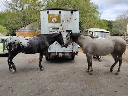 Tagada Poney, Centre Equestres à Saint-Avaugourd-des-Landes