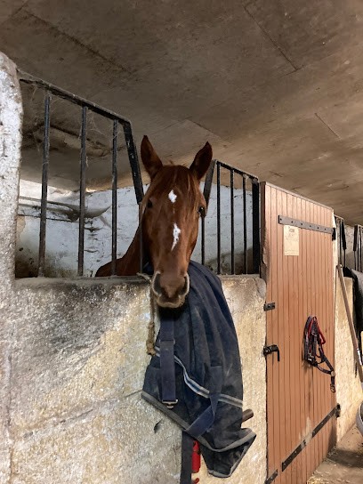 PONEY CLUB ET CENTRE EQUESTRE DE LA VILLE DE LIBOURNE, Centre Equestres à Fronsac