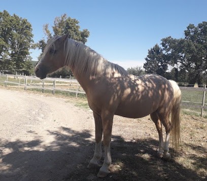 LES CAVALIERS DU DOMAINE DE LA GARDE, Centre Equestres à Éguilles