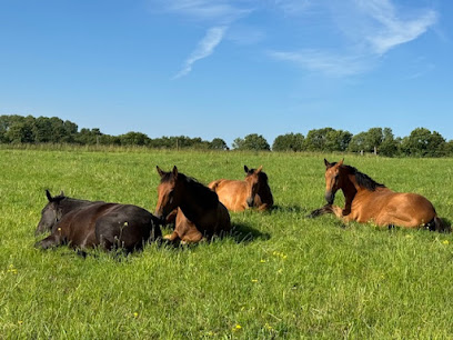 Écuries Equi' Libre Pension Pour Chevaux à Saint-Mesmin