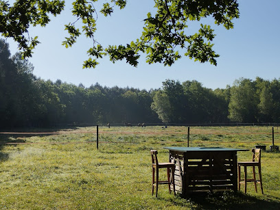 Ferme Équestre De Naviac Centre Équestre à Naujac-sur-Mer