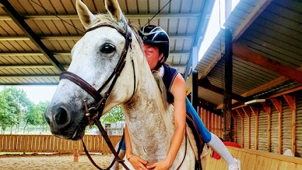 Le Haras Des Ouches, Equestrian Center Carré Médicis, Centre Equestres à Roiffé