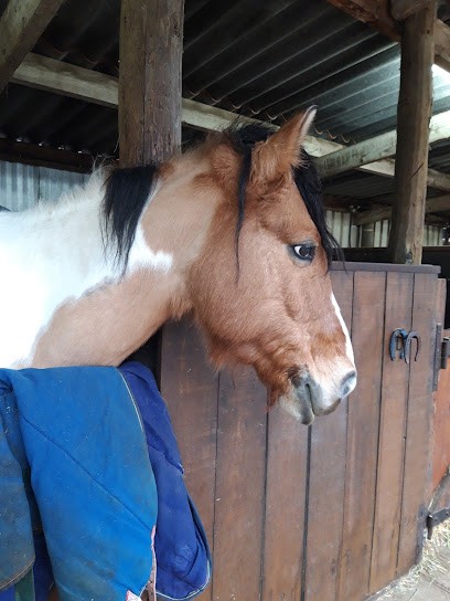 LA PETITE CAVALERIE, Centre Equestres à Triel-sur-Seine
