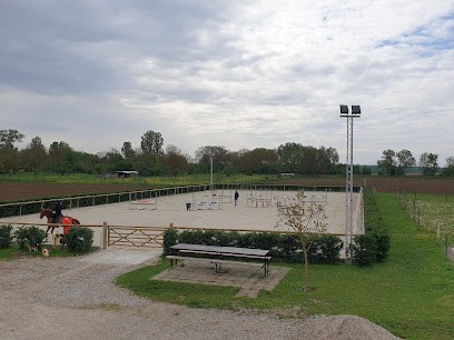 Écuries du LITZELFELD, Centre Equestres à Valff
