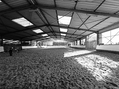 Haras de Saint Acaire, Centre Equestres à Houtkerque