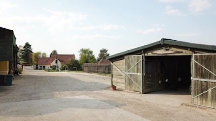 HARAS de BAZEMONT, Pension pour Chevaux à Bazemont