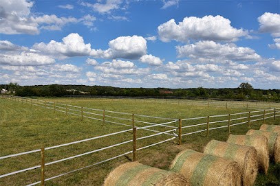 Pension pré cheval Sucre et Carottes, Pension pour Chevaux à Prissac