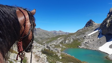 Les Sabots De Vénus, Centre Equestres à La Roche-des-Arnauds
