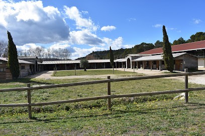 Ecurie des Patras, Pension pour Chevaux à Solérieux