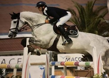 Écurie Hcc - Horses Competition Concept, Centre Equestres à Marlieux