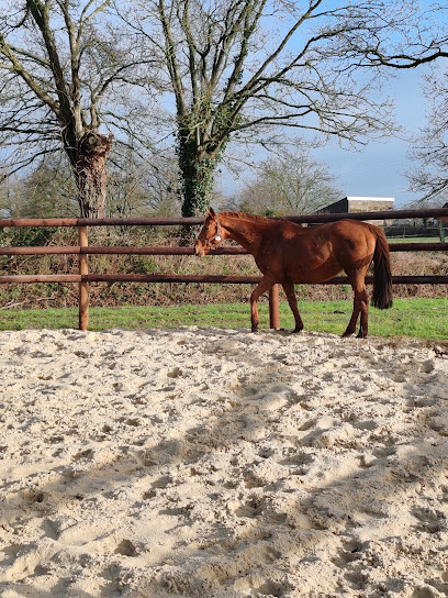 Haras De Say, Centre Équestre à Évron