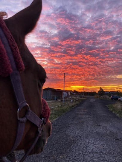 Ecuries du Goujon, Pension pour Chevaux à Saint-Paul-sur-Save