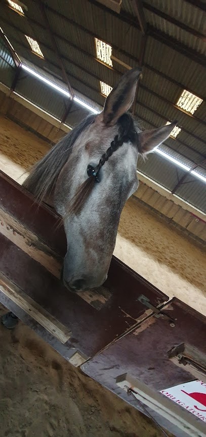 ECURIES DE LARDY, Centre Equestres à Lardy