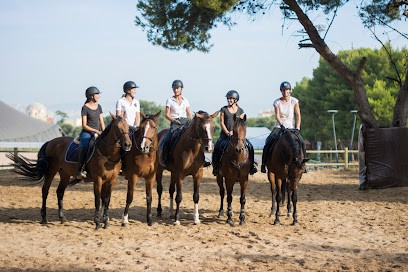 Centre Equestre Marseille Pastre, Centre Equestres à Marseille 08