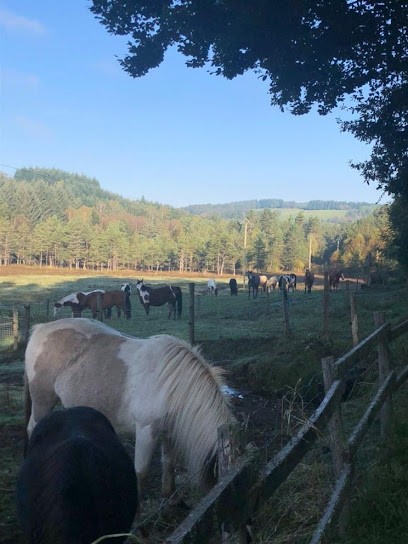 Le Petit Canada, Centre Equestres à Viam