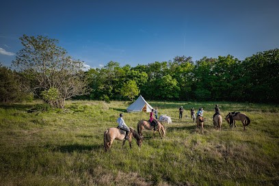 Henson Pays de Fontainebleau - Balades à cheval, Centre Equestres à Saint-Martin-en-Bière