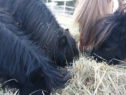 Equestrian Center De Traon Elorn, Centre Equestres à Loperhet