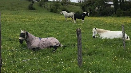 les écuries de l'Arche, Pension pour Chevaux à Érize-Saint-Dizier