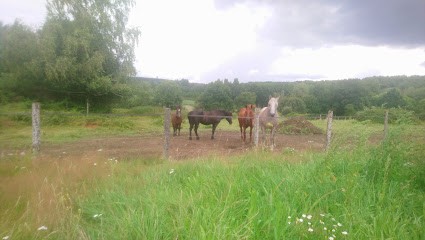 Ferme Équestre des Bleuets, Centre Equestres à Vaas