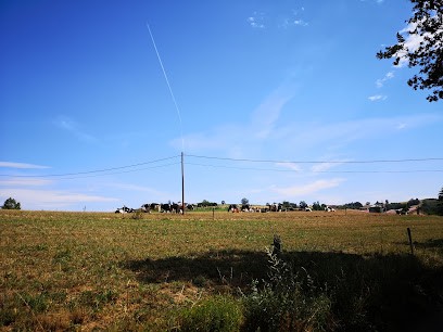 Equestrian Center La Rivière, Centre Equestres à Saint-Martin-en-Haut