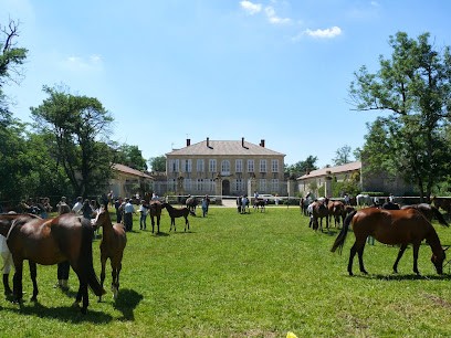 Haras d'Olympe, Centre Equestres à Pauilhac