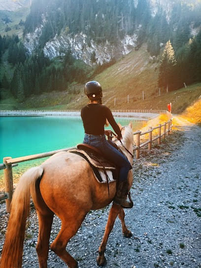 Aravis Trade Horse, Centre Equestres à Thônes