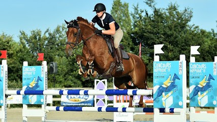 Ecurie de Réputé, Pension pour Chevaux à Sainte-Cécile