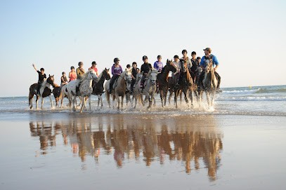 The Equestrian Center Aumarière SARL, Centre Equestres à Saint-Révérend