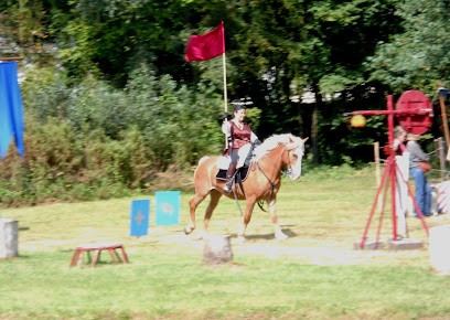 Ecole D'équitation Et D'attelage Claude Guilbaud, Centre Equestres à Villiers-en-Désoeuvre