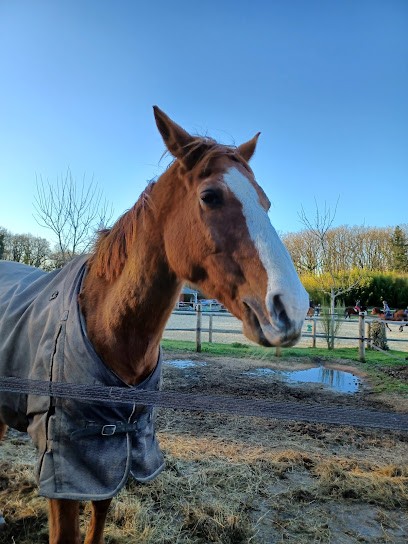Centre Equestre L'Eperon Des Noues - Cholet, Centre Equestres à Nuaillé