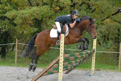 Pony Club Pégase, Pension pour Chevaux à Saint-Michel-l'Observatoire