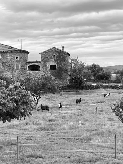 Equestrian Center Aubenas, Centre Equestres à Lachapelle-sous-Aubenas
