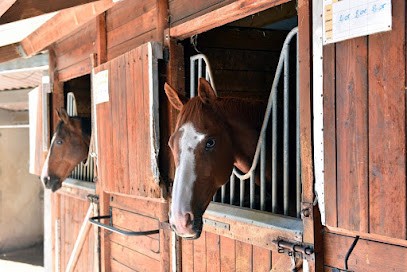 ecuries du cazalas des pujols, Centre Equestres aux Pujols