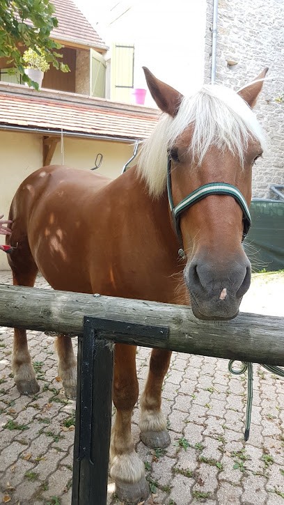 Baillargeault Pascal, Centre Equestres à Mâlain