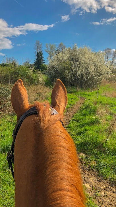 Ecurie Massat, Centre Equestres à Vourles